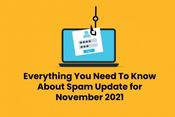 Everything You Need To Know About Spam Update for November 2021