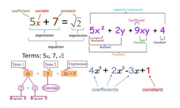 What is a Coefficient? And Write the Coefficient of x2 in each of the Following