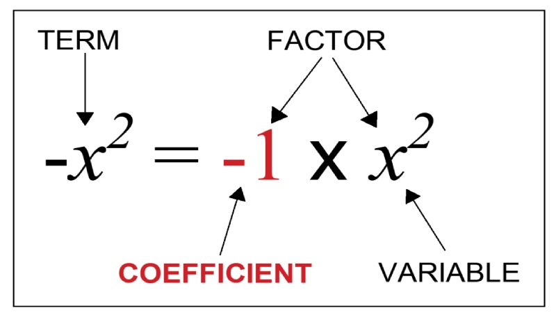 What is a Coefficient