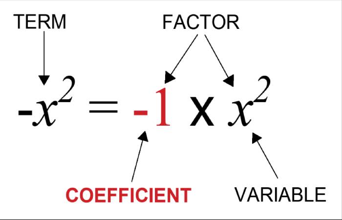 What is a Coefficient_ And Write the Coefficient of x2 in each of the Following