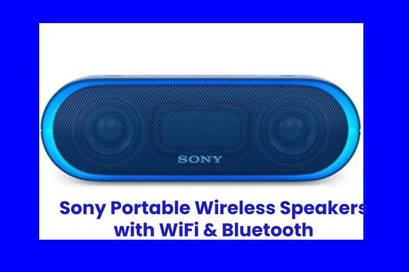 Sony Portable Wireless Speakers with WiFi & Bluetooth