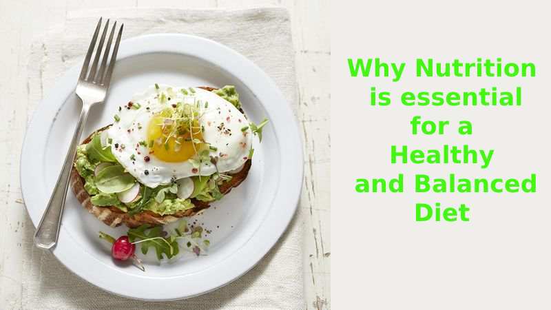 Why Nutrition is essential for a Healthy and Balanced Diet