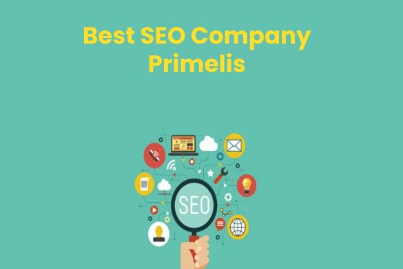 Best SEO Company Primelis