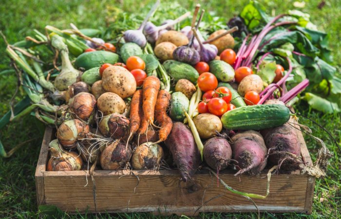 Organic food write for us